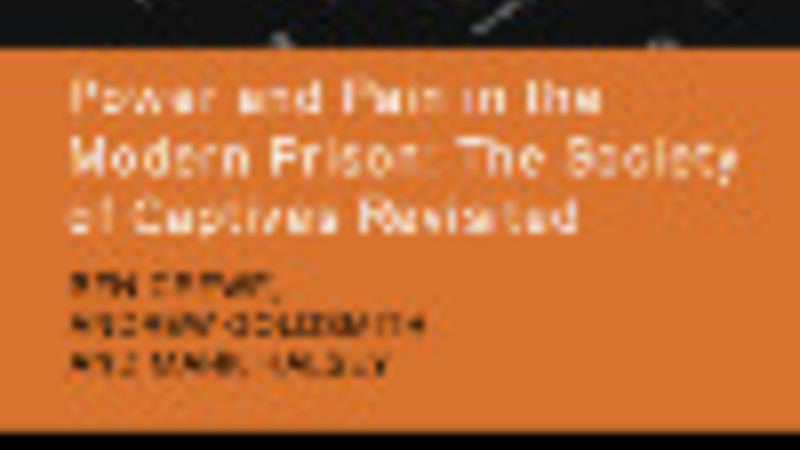 Book Cover Power and Pain