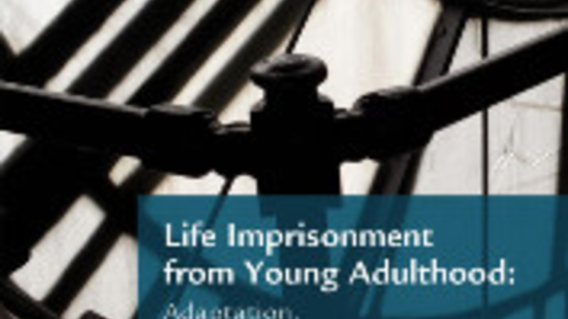 Life Imprisonment from Young Adulthood Bookcover sml